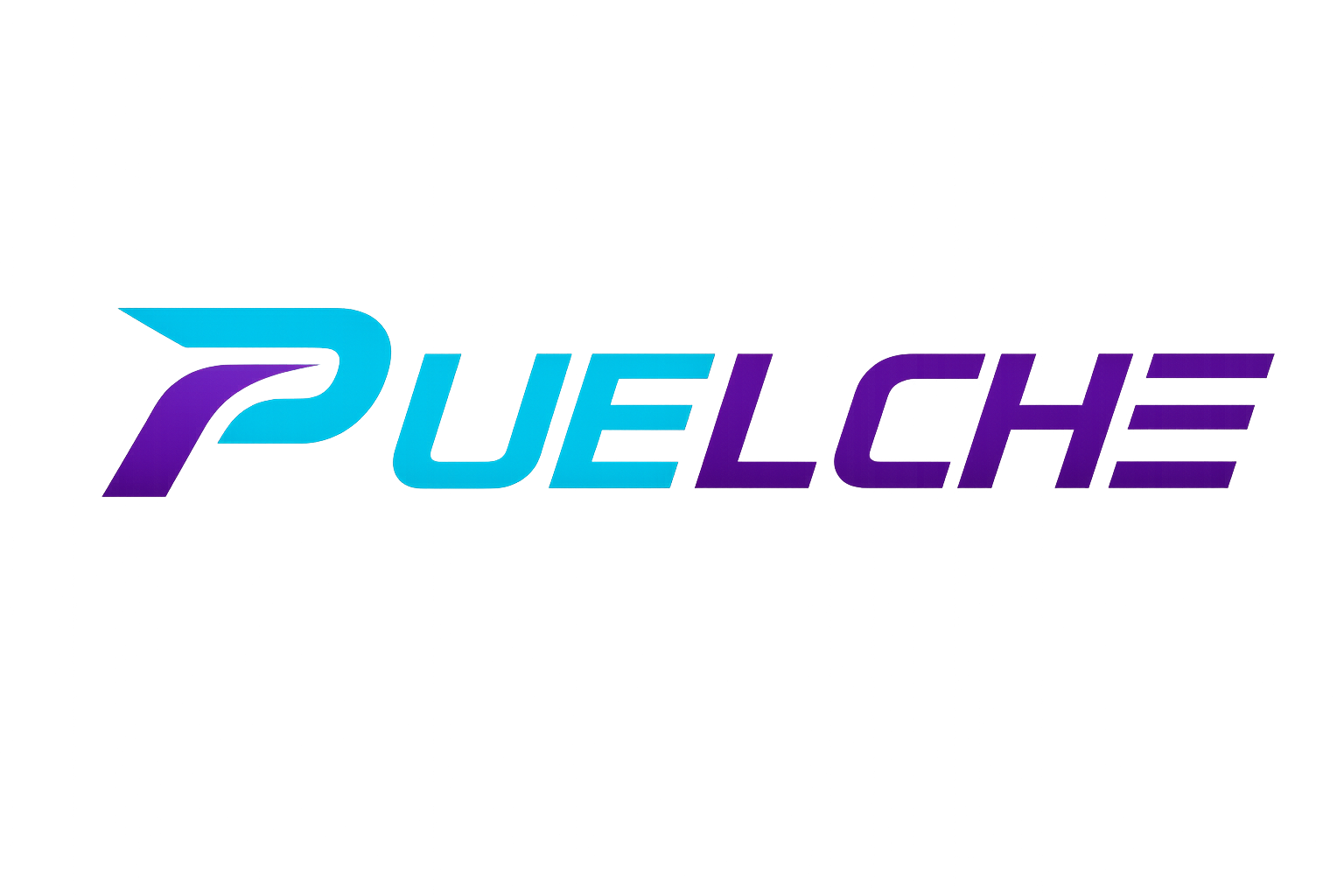 Puelche Clínica Deportiva